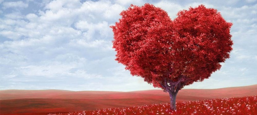 Connaissez-vous la Cohérence Cardiaque&nbsp;?