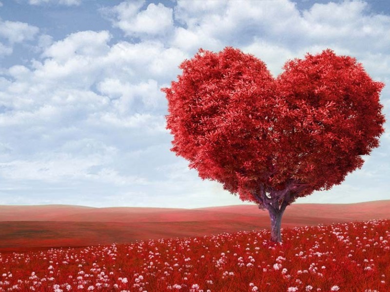 Connaissez-vous la Cohérence Cardiaque&nbsp;?