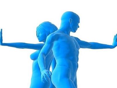 Le Système Immunitaire est Notre Affaire&nbsp;!