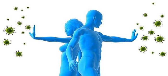 Le Système Immunitaire est Notre Affaire&nbsp;!