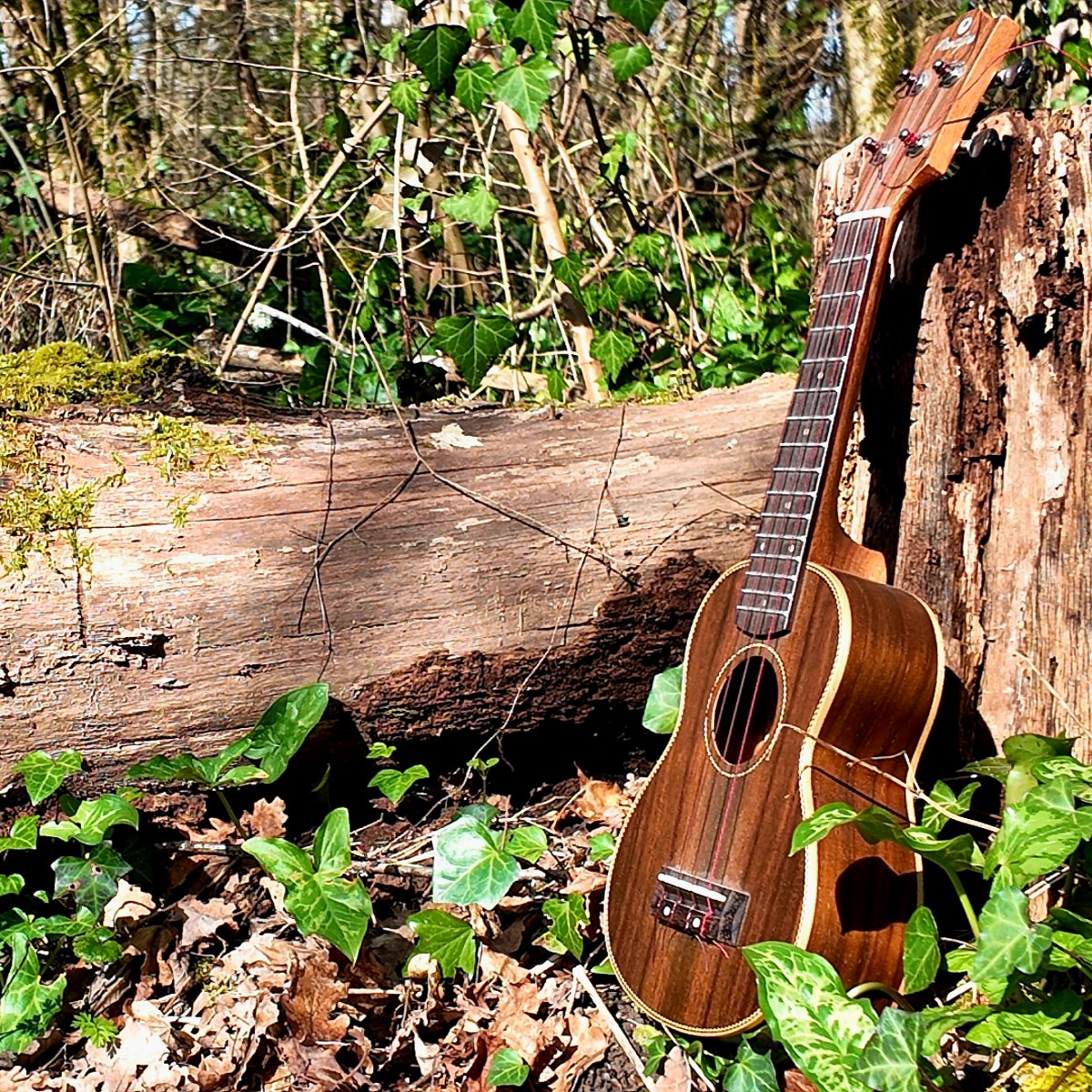 L&rsquo;ukulélé bon pour la santé&nbsp;mentale