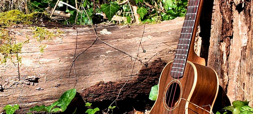 L&rsquo;ukulélé bon pour la santé&nbsp;mentale